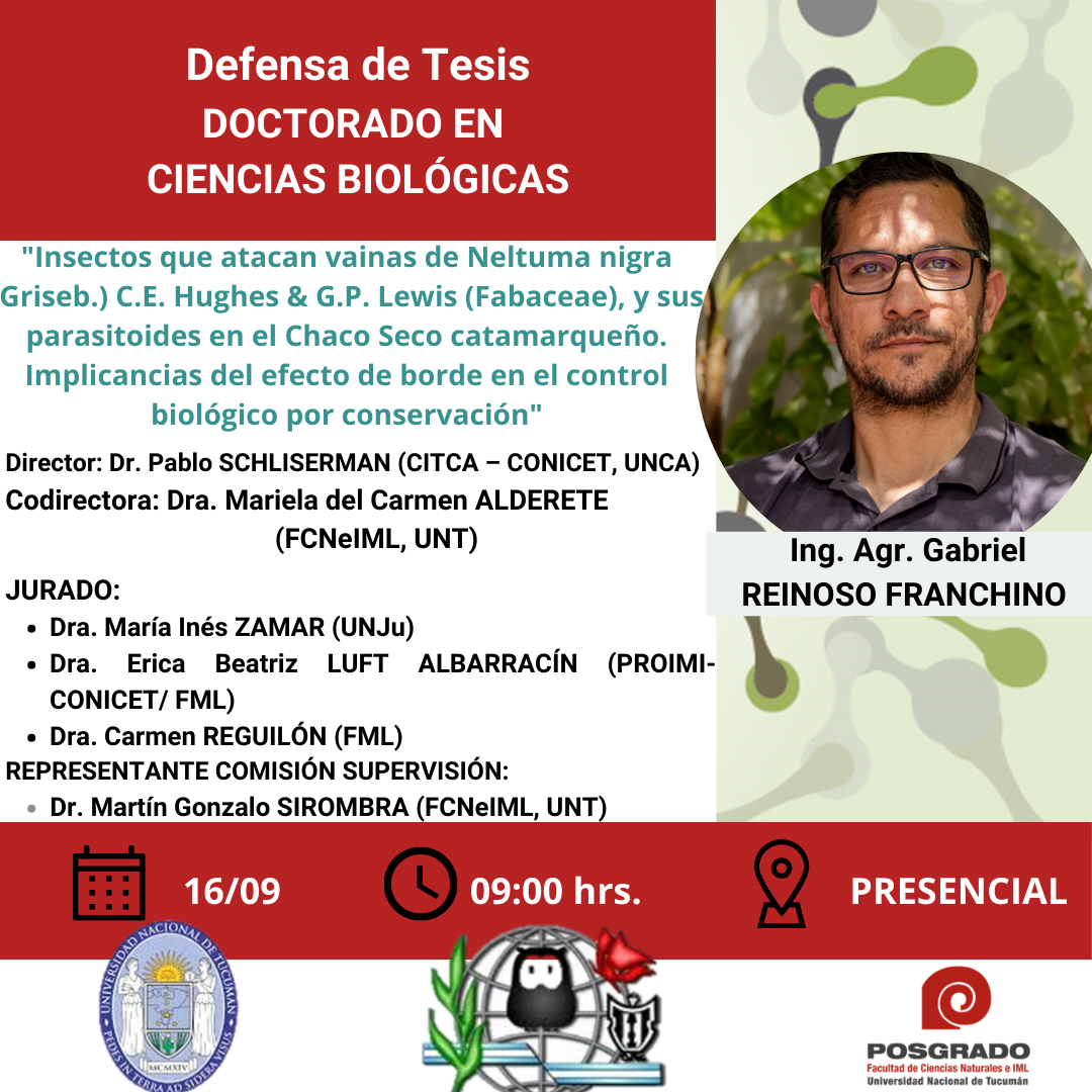 Tesis REINOSO FRANCHINO.png